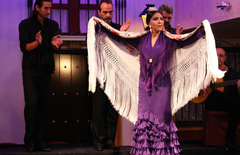 Flamenco en Sevilla de Opera